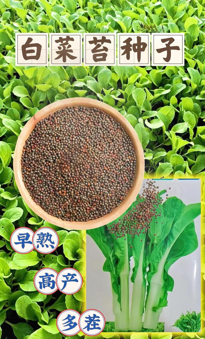 农机具行业的最新发展动态