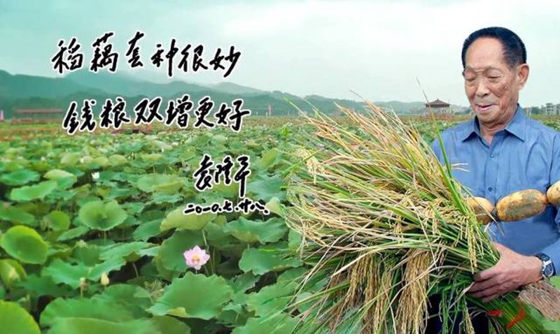 农耕用具:从古至今的演变与变迁