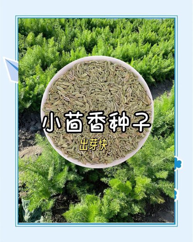 时代农耕百货店:传统购物文化的传承与创新之路