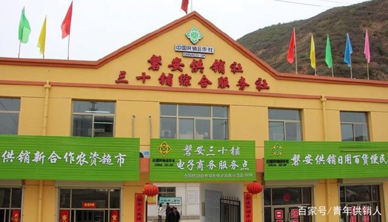 种子化肥：现代农业的助推器